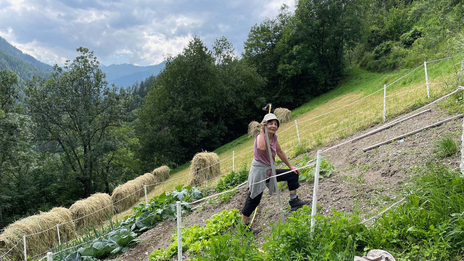 Kulinarik am Buchhammerhof_Feldwirtschaft